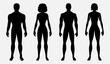 © Shamoli - Male and Female Body Silhouette Vector Illustration