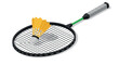 © Sapphire - Isometric badminton racket with shuttlecock on white background