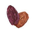 © Masha_tolk_art - Red and golden raisins watercolor illustration on isolated background. Raw organic dried dark grapes. Delicious dehydrated berry composition for bakery, snack package, Xmas drink decoration