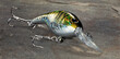 © Guy Sagi - Fishing lure for casting with a shiny gold and silver finish