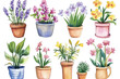 © SUUGOIisME - A watercolor illustration a variety of potted flowers. including lavender. violets. and daisies. arranged artistically with soft colors on a white background. ideal for gardening or home decor themes