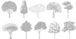 © Pixel Park - Collection of ten diverse gray stippled trees with varied canopy shapes and trunk structures on a white background