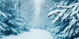 Film grain for color grading, A serene winter scene featuring snow-covered pine branches, creating a tranquil atmosphere in a snowy forest.
