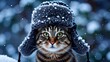 © vvicca - Cute tabby cat wearing a fluffy Russian ushanka winter hat covered in snow, sitting outdoors with snowflakes falling in a blue snowy background.