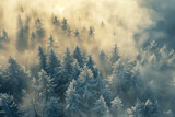 aerial view of serene winter forest with fog and hoarfrost