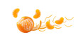 © masud - Fresh peeled mandarin orange slices floating in an arrangement on white