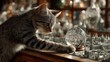 © 楠 刘 - Playful cat pushing a London snowglobe off a table, showing a humorous moment with the curious pet, the falling glass sphere, and a bright indoor setting that highlights motion and mischief