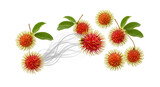 A vibrant collection of fresh tropical rambutan with green leaves, connected by an abstract energy flow and isolated on a pure white backdrop