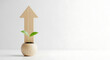 © JANNATUL - A wooden arrow points upwards from a small plant pot, isolated on white background, symbolizing growth, progress, investment, and the potential for success in business