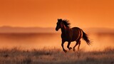 Silhouette of horse galloping in open field, motion and energy concept, perfect for sport, ranch, or lifestyle visuals.