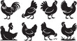 © KDP Coloring Pages - Collection of eight black and white chicken and rooster silhouettes in farm settings bird fowl