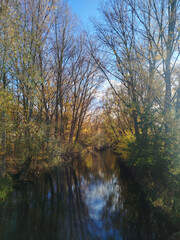  Vista del cauce de un río rodeado por árboles en un bosque con reflejos en el agua durante el otoño en Burgos, España