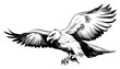 © Kaz - Flying eagle attack pose detailed hand drawn bird of prey vector illustration
