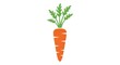 © Humairoh - Simple illustration of a fresh orange carrot with green leaves