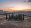 © AmazingAerialAgency - Aerial view of a cluster of slender cypress trees standing tall against the rolling Tuscan hills under a sky painted with dawn's soft hues, San Quirico d'Orcia, Tuscany, Italy.