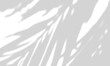 © MdEanur - Abstract semitransparent shadow overlay
