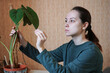 © Akhtiamova - A young woman is examining a houseplant leaf. Pests on potted flowers, spider mites. Caring for indoor flowers. Indoor Alocasia.