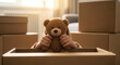 © Iryna - Child’s hands holding stuffed animal, Moving day with teddy bear in cardboard box, family relocation and home transition