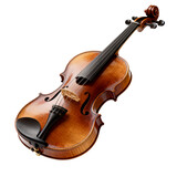 violin on white background