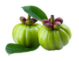 garcinia cambogia fruits with leaves isolated on transparent background.