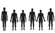 © Mosome - Collection of diverse human body silhouettes standing in a row representing different forms and sizes silhouette