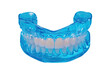 © POV Studio - Transparent, light-blue dental model, upper and lower teeth