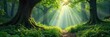 © Hugnaka - Sun-dappled forest floor, lush green undergrowth, towering ancient trees create a mystical woodland scene Perfect for nature, fantasy, or environmental themes , fairytale, light
