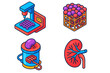 © Александр Михайлюк - Lab-Grown Organ Stages. Isometric vector illustration set Lab-Grown Organ Stages: Printed scaffold frame, seeded cell structure,