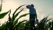 © Victoriia - Farmer man walk with laptop through corn sprouts field. Businessman Farmer go through plantation of corn sprouts. Farmer work in agricultural corn field. Agricultural business. Man works on plantation