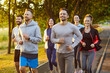© Studio Romantic - Group of runners jogging in park at morning. Healthy marathon of athletes in sportswear and sneakers running along path, team enjoying summer fresh air and outdoor cardio sport exercises in teamwork