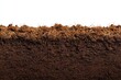 © somsak - Cross section of rich dark soil with visible roots and organic matter against a white background