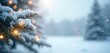 © Maryna - Snowy fir branch sparkles with warm lights against a soft bokeh background. Gentle snowfall adds magic to a serene winter forest scene. Perfect for holiday cards or festive decor.