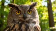 © PureEvilClutch - closeup of owl in forest