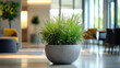 © Muhammad - Fresh green plant in a modern office space creates a calming work environment, promoting employee well-being and adding a touch of nature to the interior design