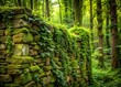 © chokdeelaw - weathered stone wall with vines and moss growth amidst a lush green forest