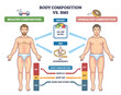 © VectorMine - Body composition vs BMI comparison shows how muscle and fat affect health at the same weight, healthy male figure, unhealthy male figure, and BMI scale highlight differences. Diagram