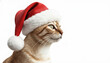 © tsinik - Profile view of a ginger tabby cat wearing a Santa hat. Christmas portrait isolated on white background with copy space.