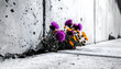© Arif - Resilience Blooms Purple and Orange Flowers Push Through a Gritty Concrete Wall in Stark Black and White Photography