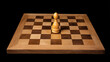 © Small - gambit. A single chess piece on a wooden board, connecting two sides in a minimalist game. tutorial guides, club newsletters, designed for tourism and weekend activity guides.