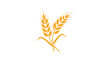 © The - A simple golden yellow icon of two crossed stalks of wheat or barley representing agriculture harvest and healthy grains.