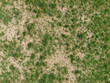 © farid4kbar - Aerial view of sparse grass texture with dry and green areas creating natural ground pattern, useful for landscape design, architectural visualization, or game development