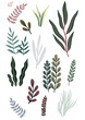 © Sophie Rivière - set of  JUNGLE LEAVES