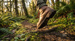 © Video80X - A close-up of a hiking boot on a forest trail, surrounded by lush greenery and sunlight. Great for nature blogs or hiking guides.