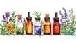 © Niphaphan - Set of hand-drawn essential oil bottles with herbs and flowers on white background