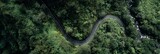 Peaceful Green Landscape With Curvy Road – Aerial View Panorama