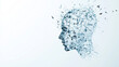 © Denis - An abstract representation of a human head composed of scattered fragments, symbolizing chaos and the complexity of thoughts