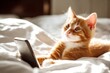 © A - Kitten's bright morning: a smartphone delight. Kitten's morning. Balancing the benefits and harm of living in chat apps. Kitten's joy. Social app obsession.