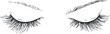 © vadymstock - Elegant minimalist vector illustration of closed eyelashes, perfect for beauty and makeup branding or design projects