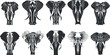 © vadymstock - Collection of abstract black and white elephant head designs in vector illustration.