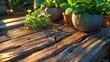 © Iwan - Outdoor table made from reclaimed wood with plants - Healthy Lifestyle presenting a rustic green arrangement that inspires balanced daily practices and a soothing nature connection